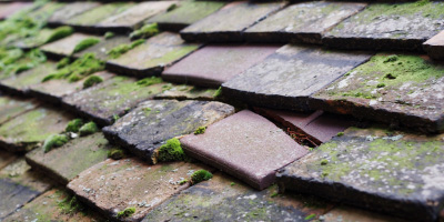 East Dean roof repair costs